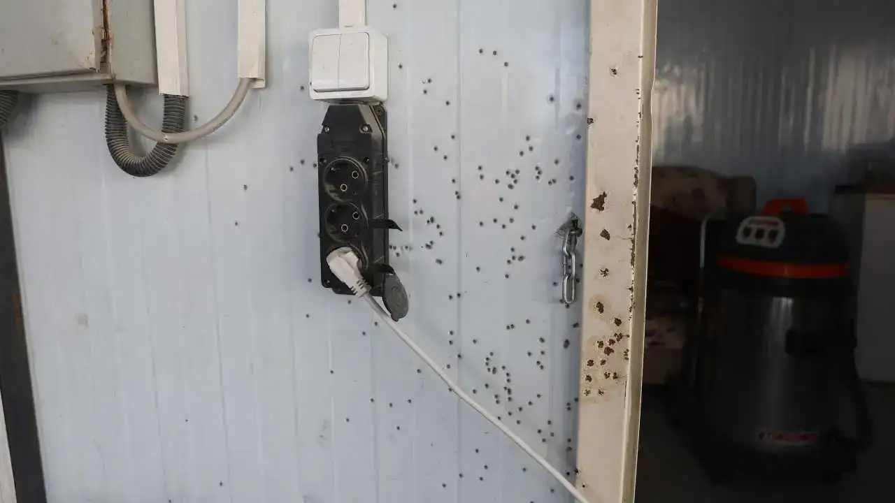 Hatay’da Oto Yıkamacıya Pompalı Saldırı Kameraya Yansıdı! 1